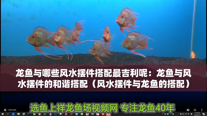 龍魚與哪些風水擺件搭配最<strong><mark>吉利</mark></strong>呢：龍魚與風水擺件的和諧搭配（風水擺件與龍魚的搭配）