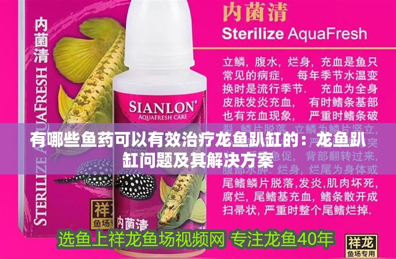 有哪些魚藥可以有效治療龍魚趴缸的：龍魚趴缸問題及其解決方案