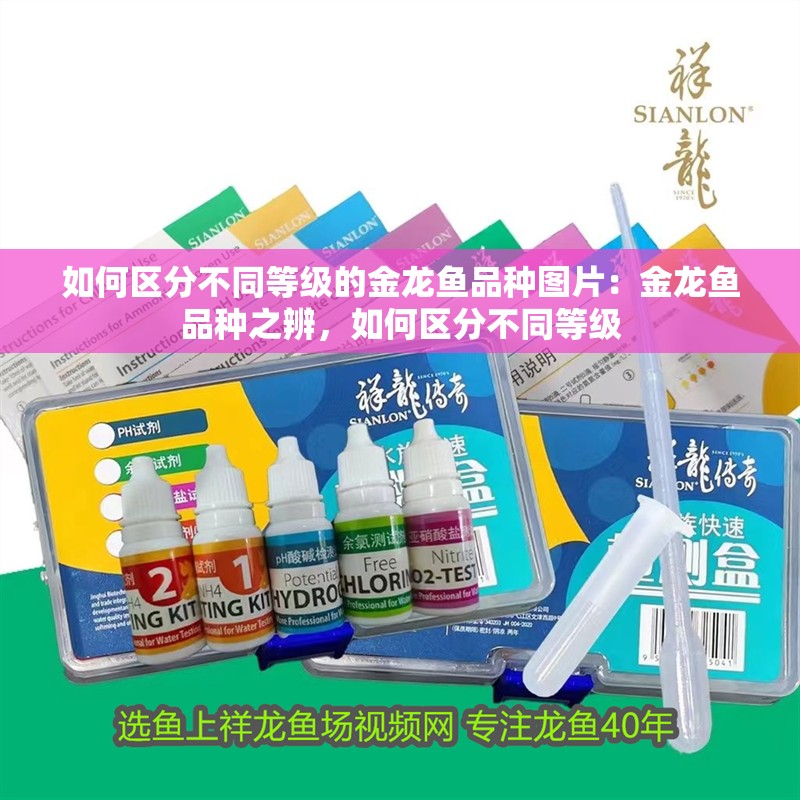 如何區(qū)分不同等級的金龍魚品種圖片：金龍魚品種之辨，如何區(qū)分不同等級