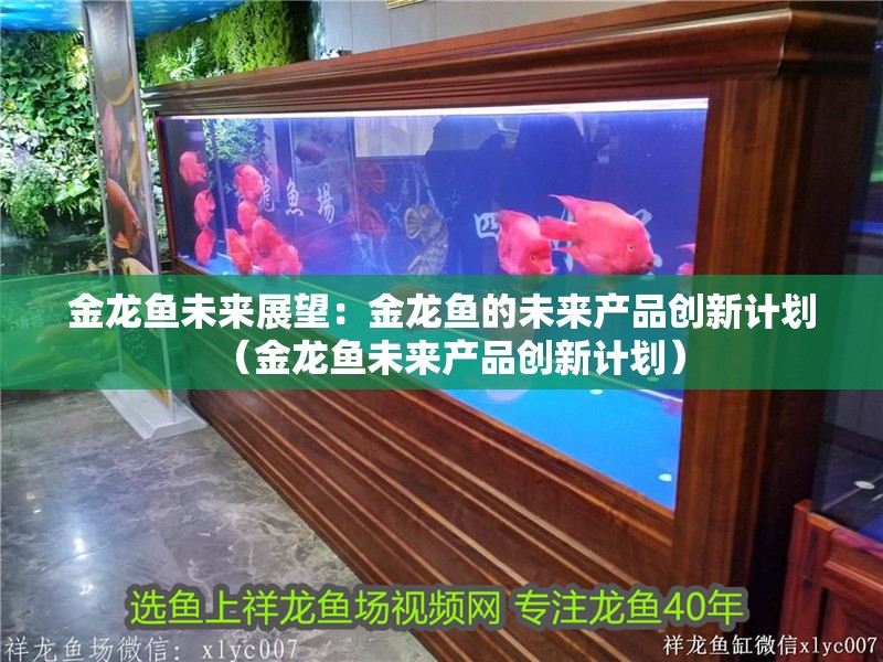 金龍魚未來展望：金龍魚的未來產品創新計劃（金龍魚未來產品創新計劃）
