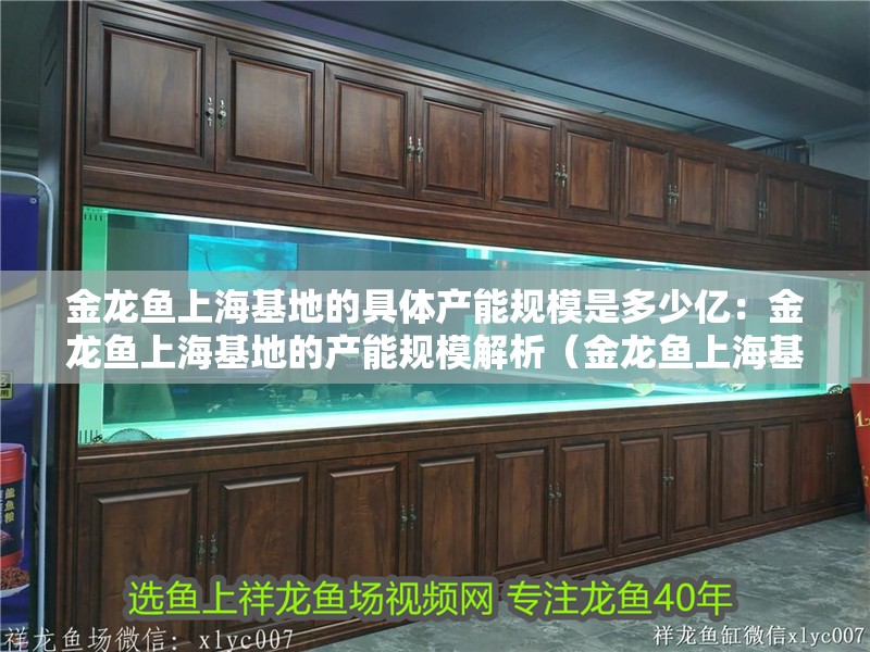 金龍魚上?；氐木唧w產能規模是多少億：金龍魚上海基地的產能規模解析（金龍魚上海基地的產能規模）