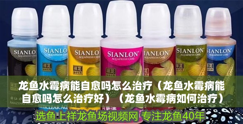 龍魚水霉病能自愈嗎怎么治療（龍魚水霉病能自愈嗎怎么治療好）（龍魚水霉病如何治療）