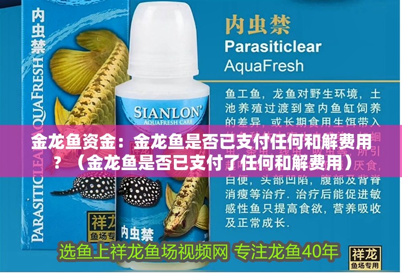 金龍魚資金：金龍魚是否已支付任何和解費用？（金龍魚是否已支付了任何和解費用）