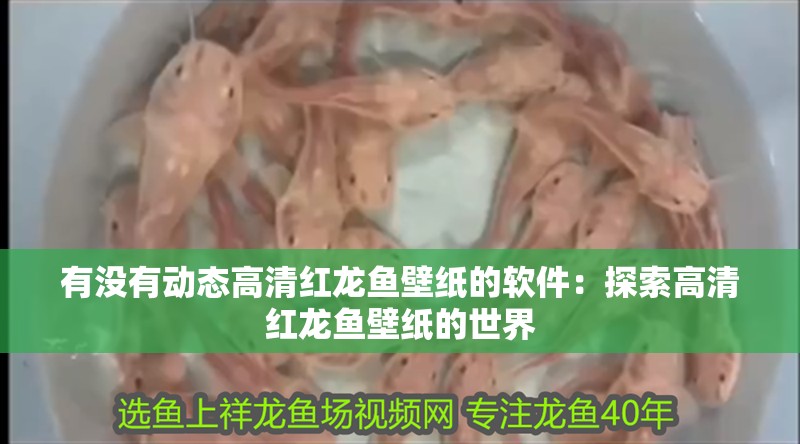 有沒有動態高清紅龍魚壁紙的軟件：探索高清紅龍魚壁紙的世界