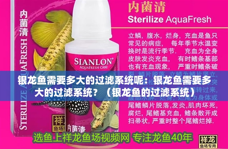 銀龍魚需要多大的過濾系統呢：銀龍魚需要多大的過濾系統？（銀龍魚的過濾系統）