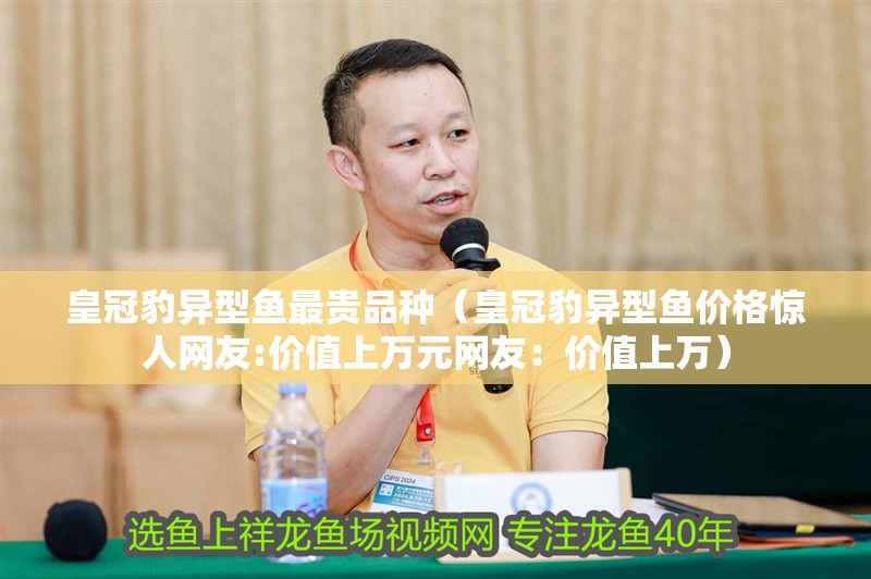 皇冠豹異型魚最貴品種（皇冠豹異型魚價格驚人網友:價值上萬元網友：價值上萬）