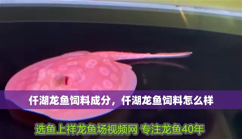 仟湖龍魚飼料成分，仟湖龍魚飼料怎么樣