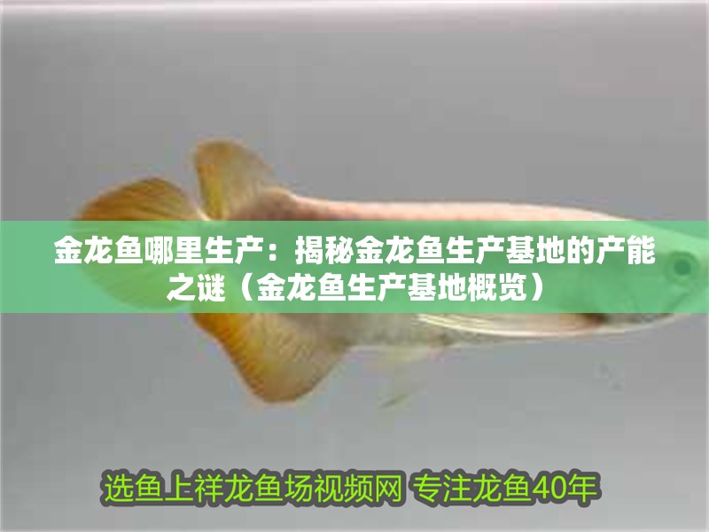 金龍魚哪里生產(chǎn)：揭秘金龍魚生產(chǎn)基地的產(chǎn)能之謎（金龍魚生產(chǎn)基地概覽）