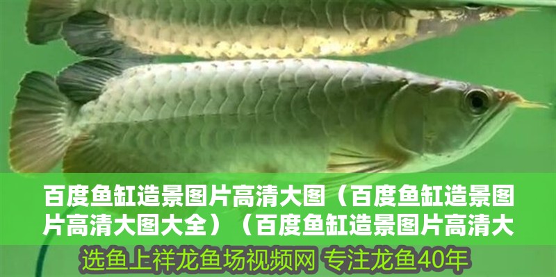 百度魚缸造景圖片高清大圖（百度魚缸造景圖片高清大圖大全）（百度魚缸造景圖片高清大圖）