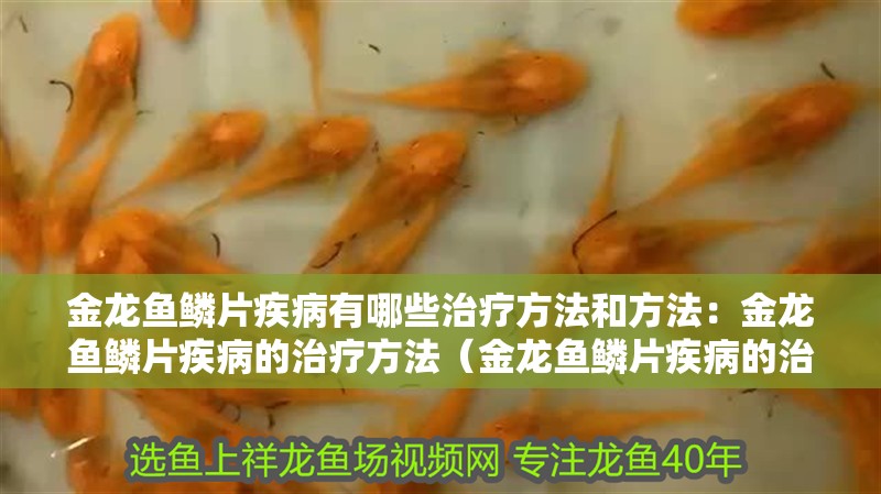 金龍魚鱗片疾病有哪些治療方法和方法：金龍魚鱗片疾病的治療方法（金龍魚鱗片疾病的治療方法）