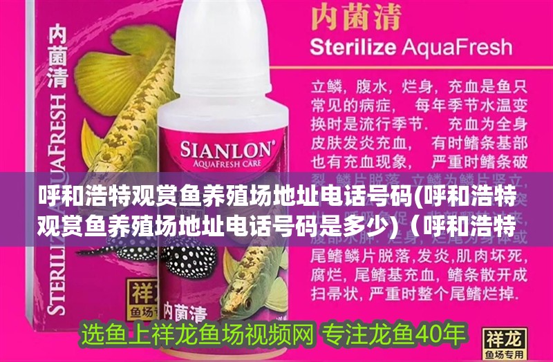 呼和浩特觀賞魚(yú)養(yǎng)殖場(chǎng)地址電話號(hào)碼(呼和浩特觀賞魚(yú)養(yǎng)殖場(chǎng)地址電話號(hào)碼是多少)（呼和浩特有哪些觀賞魚(yú)養(yǎng)殖場(chǎng)？）
