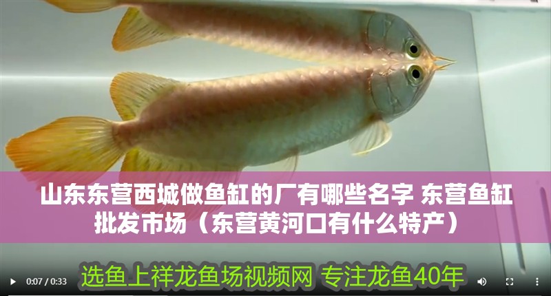 山東東營西城做魚缸的廠有哪些名字 東營魚缸批發市場（東營黃<strong><mark>河口</mark></strong>有什么特產）