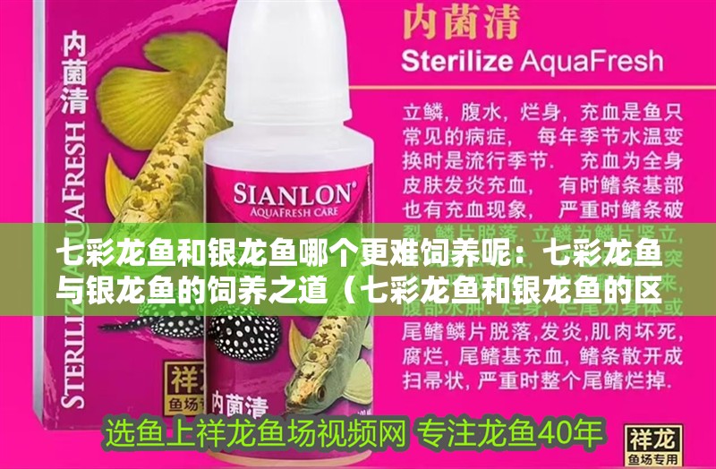 七彩龍魚和銀龍魚哪個更難飼養呢：七彩龍魚與銀龍魚的飼養之道（七彩龍魚和銀龍魚的區別）