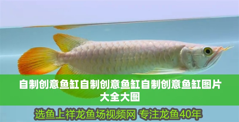 自制創意魚缸自制創意魚缸自制創意魚缸圖片大全大圖
