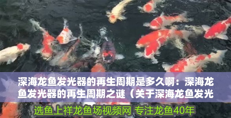 深海龍魚發光器的再生周期是多久啊：深海龍魚發光器的再生周期之謎（關于深海龍魚發光器的再生周期，科學家們卻知之甚少）