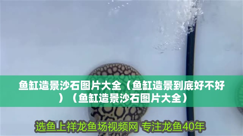 魚缸造景沙石圖片大全（魚缸造景到底好不好）（魚缸造景沙石圖片大全）