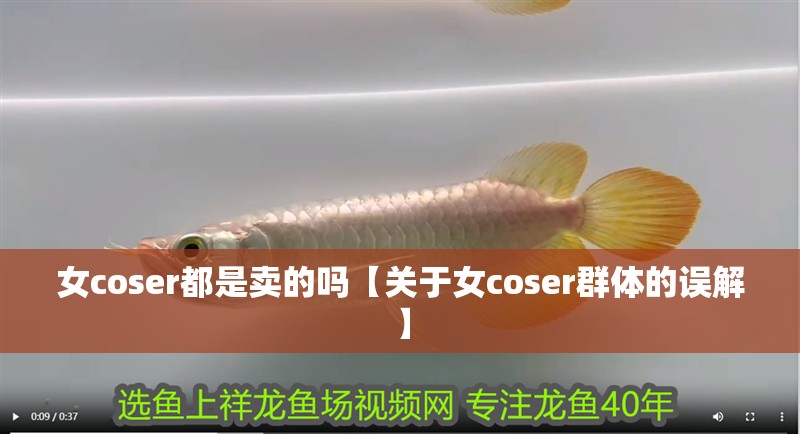 女coser都是賣的嗎【關于女coser群體的誤解】