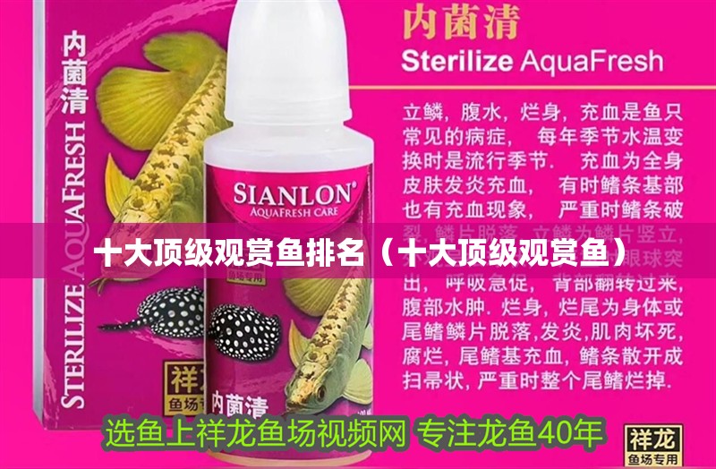 十大頂級(jí)觀賞魚排名（十大頂級(jí)觀賞魚）