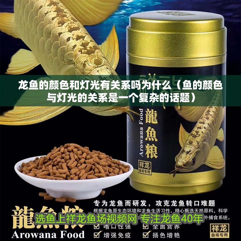 龍魚的顏色和燈光有關系嗎為什么（魚的顏色與燈光的關系是一個復雜的話題）