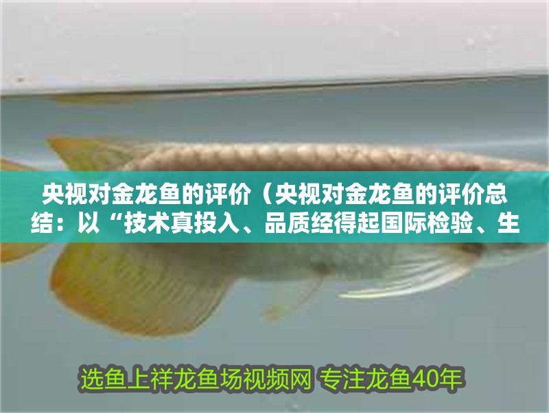央視對(duì)金龍魚(yú)的評(píng)價(jià)（央視對(duì)金龍魚(yú)的評(píng)價(jià)總結(jié)：以“技術(shù)真投入、品質(zhì)經(jīng)得起國(guó)際檢驗(yàn)、生產(chǎn)過(guò)程敢透明”為核心優(yōu)勢(shì)）