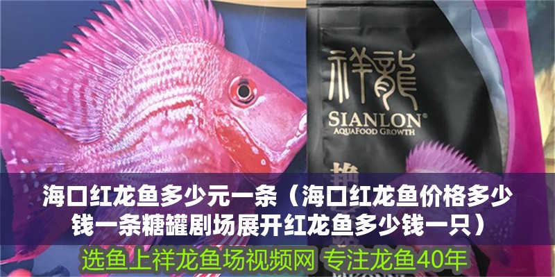 海口紅龍魚多少元一條（海口紅龍魚價格多少錢一條糖罐劇場展開紅龍魚多少錢一只）