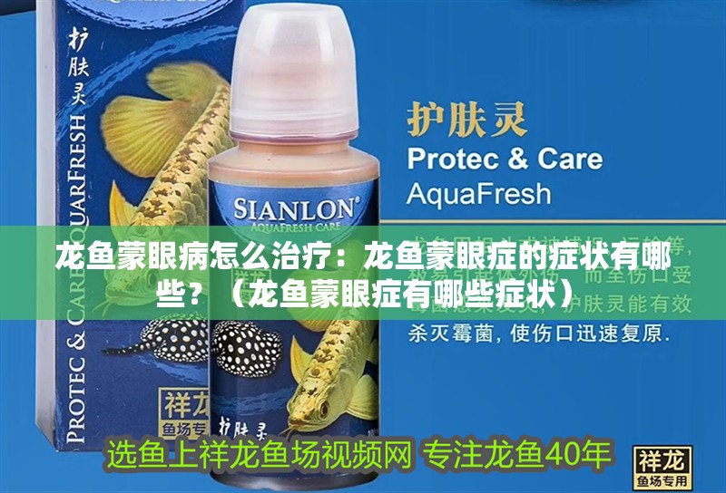 龍魚(yú)蒙眼病怎么治療：龍魚(yú)蒙眼癥的癥狀有哪些？（龍魚(yú)蒙眼癥有哪些癥狀）