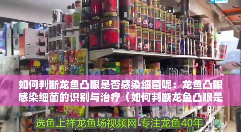 如何判斷龍魚凸眼是否感染細(xì)菌呢：龍魚凸眼感染細(xì)菌的識(shí)別與治療（如何判斷龍魚凸眼是否感染細(xì)菌）