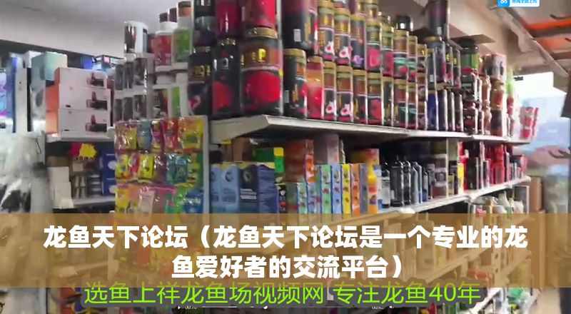 龍魚天下論壇（龍魚天下論壇是一個(gè)專業(yè)的龍魚愛好者的交流平臺(tái)）