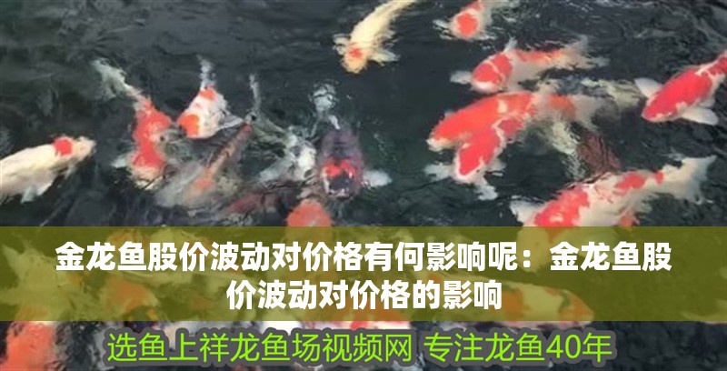 金龍魚股價波動對價格有何影響呢：金龍魚股價波動對價格的影響