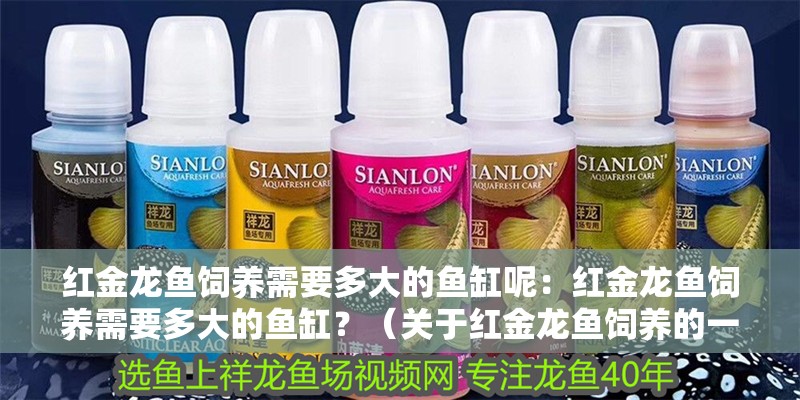 紅金龍魚飼養(yǎng)需要多大的魚缸呢：紅金龍魚飼養(yǎng)需要多大的魚缸？（關于紅金龍魚飼養(yǎng)的一些問題）