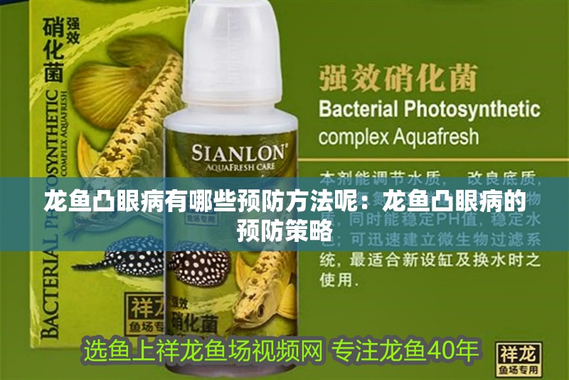 龍魚(yú)凸眼病有哪些預(yù)防方法呢：龍魚(yú)凸眼病的預(yù)防策略