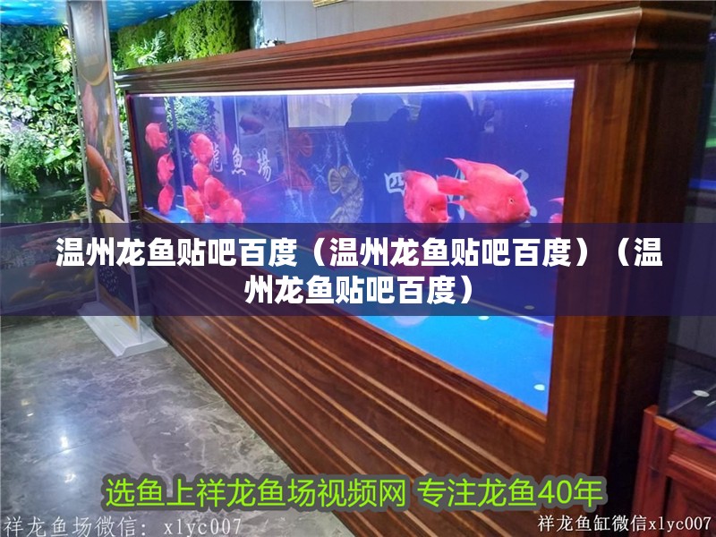 溫州龍魚貼吧百度（溫州龍魚貼吧百度）（溫州龍魚貼吧百度）