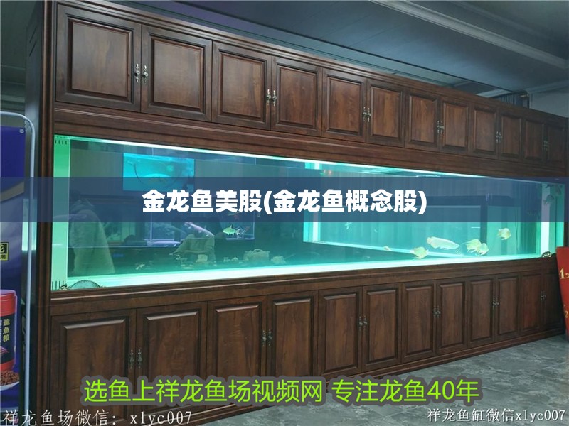 金龍魚美股(金龍魚概念股)