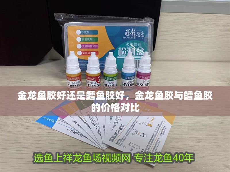 金龍魚膠好還是鱈魚膠好，金龍魚膠與鱈魚膠的價(jià)格對(duì)比