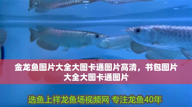 金龍魚圖片大全大圖卡通圖片高清，書包圖片大全大圖卡通圖片