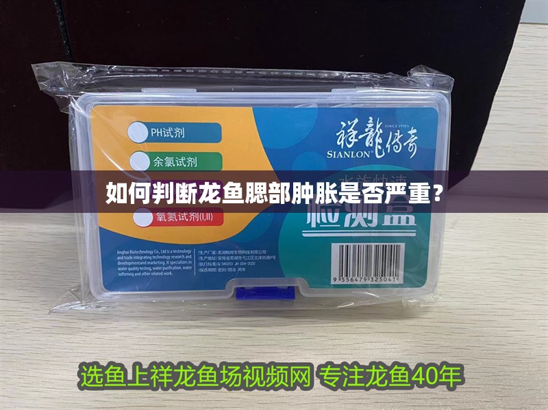 如何判斷龍魚腮部腫脹是否嚴重？