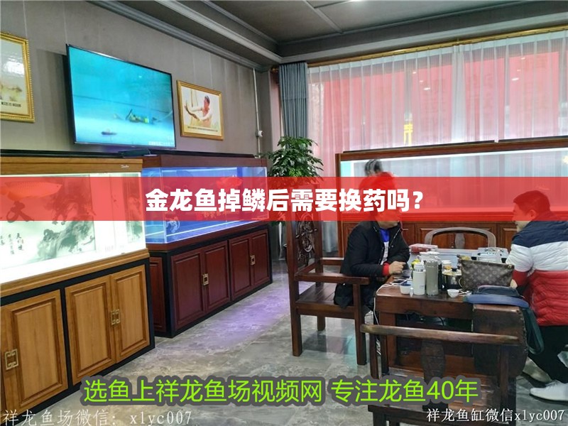 金龍魚掉鱗后需要換藥嗎？