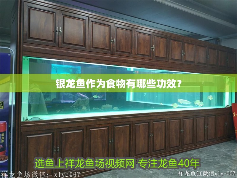 魚缸用增氧泵價(jià)格是多少:魚缸增氧機(jī)-xtrac增氧機(jī)-xtrac增氧機(jī) 銀龍魚作為食物有哪些功效? 龍魚百科 銀龍魚作為食物有哪些功效? 銀龍魚作為食物有哪些功效? 龍魚百科