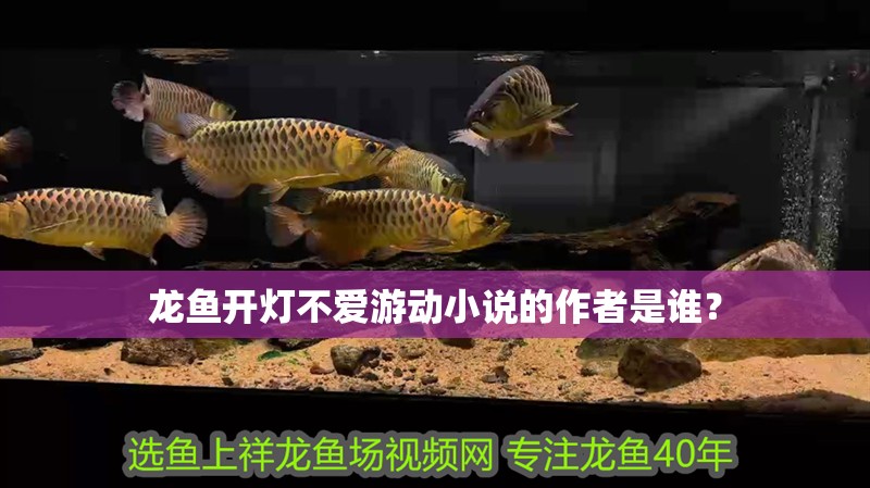 龍魚開燈不愛游動小說的作者是誰？