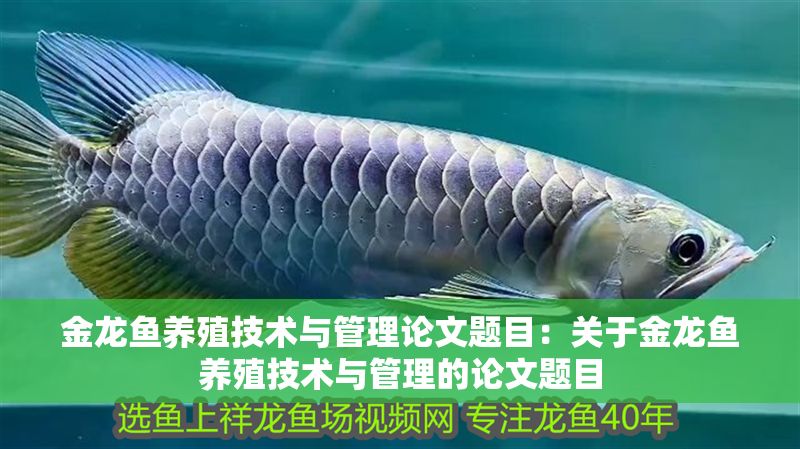 金龍魚養殖技術與管理論文題目：關于金龍魚養殖技術與管理的論文題目