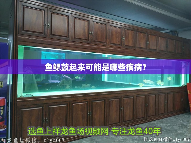 魚鰓鼓起來可能是哪些疾??？