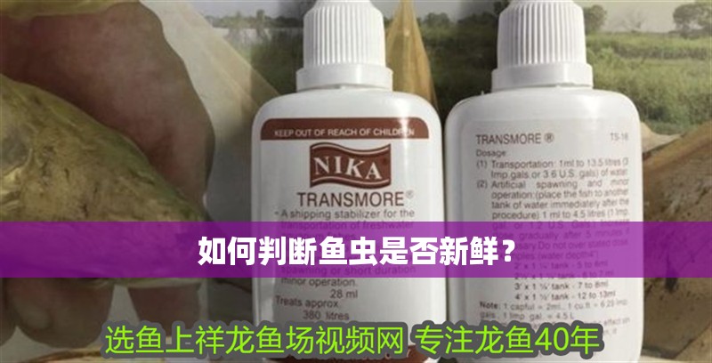 龍魚干蝦有營養嗎 如何判斷魚蟲是否新鮮? 龍魚百科 如何判斷魚蟲是否新鮮? 如何判斷魚蟲是否新鮮? 龍魚百科