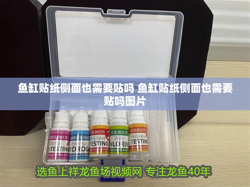 魚缸貼紙側面也需要貼嗎 魚缸貼紙側面也需要貼嗎圖片