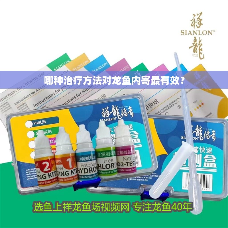 哪種治療方法對龍魚內寄最有效？
