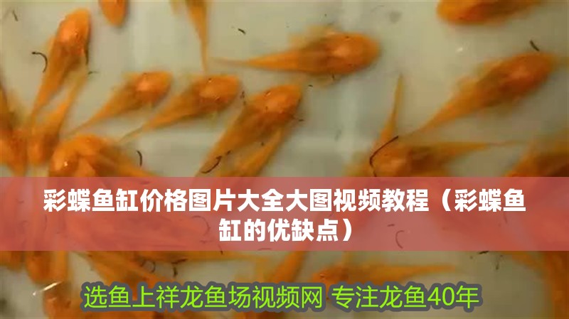 詳細閱讀:彩蝶魚缸價格圖片大全大圖視頻教程(彩蝶魚缸的優缺點) 彩蝶魚缸價格圖片大全大圖視頻教程(彩蝶魚缸的優缺點)