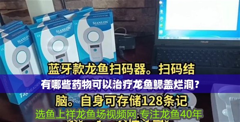 有哪些藥物可以治療龍魚鰓蓋爛洞？