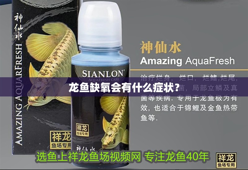 龍魚缺氧會有什么癥狀？ 龍魚缺氧會有什么癥狀？ 龍魚百科