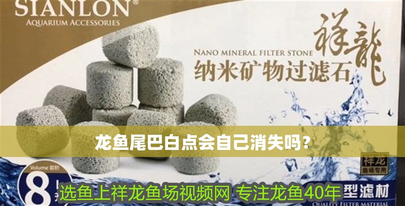 龍魚尾巴白點會自己消失嗎？