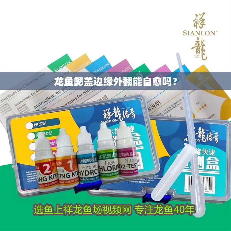 龍魚鰓蓋邊緣外翻能自愈嗎？