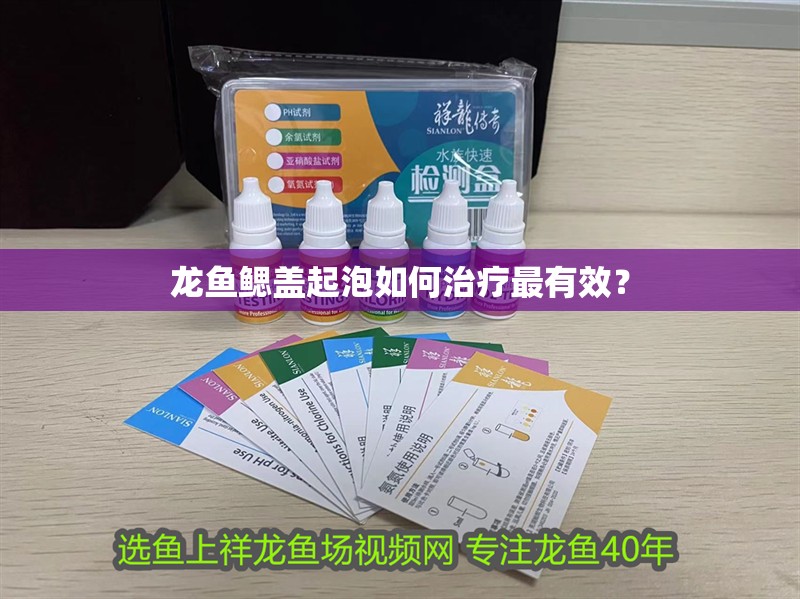龍魚鰓蓋起泡如何治療最有效？